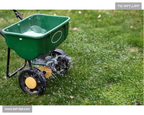 草坪养护技术革新,冬季比赛条件改善 草坪养护技术革新,冬季比赛条件改善